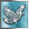 Grace Gems Video Treasures