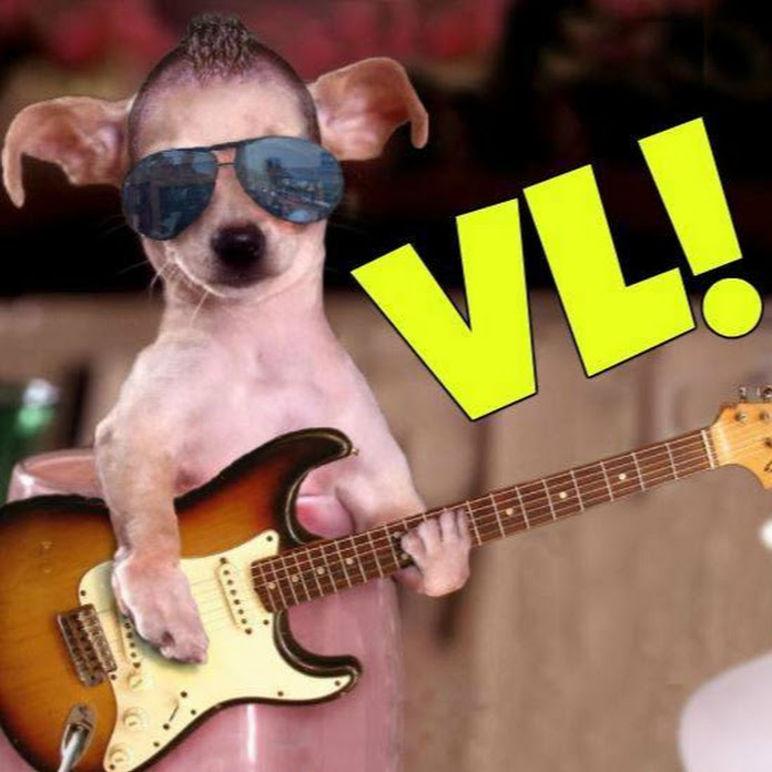 VIRALOKOS Net Worth & Earnings (2026)