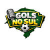 What could Gols no Sul buy with $100 thousand?