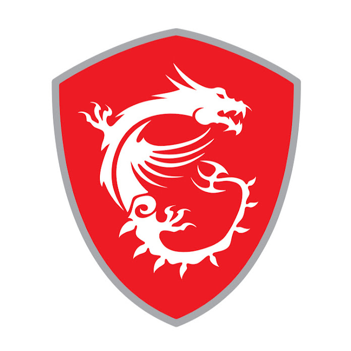 MSI Gaming Poland Net Worth & Earnings (2026)