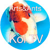 What could Koi TV buy with $100 thousand?