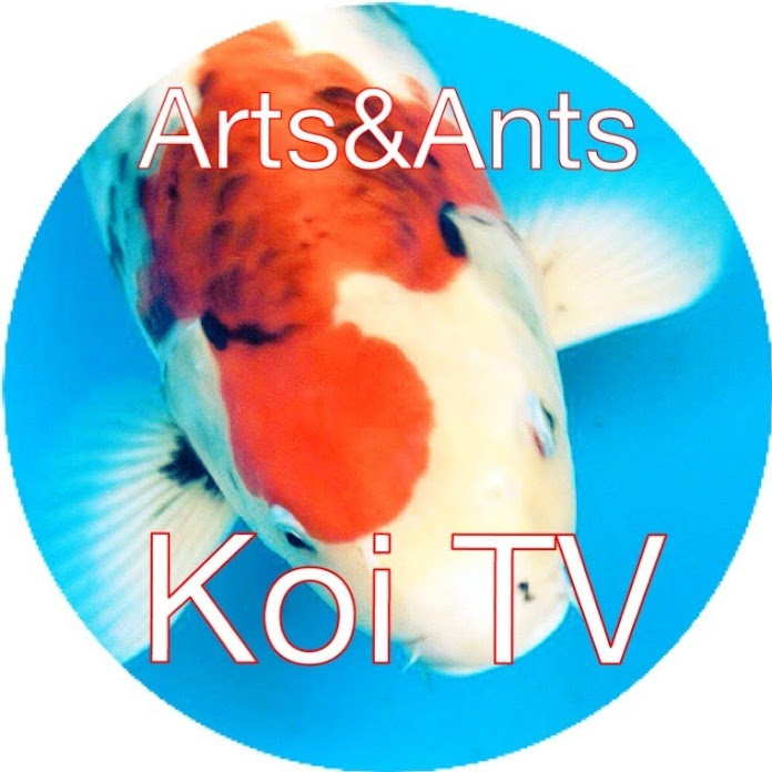 Koi TV Net Worth & Earnings (2024)