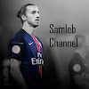 What could Samleb Channel buy with $100 thousand?