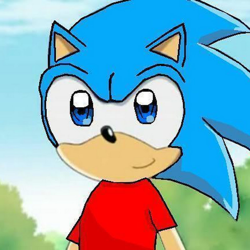 Турбо Ёжик minecraft Net Worth & Earnings (2023)