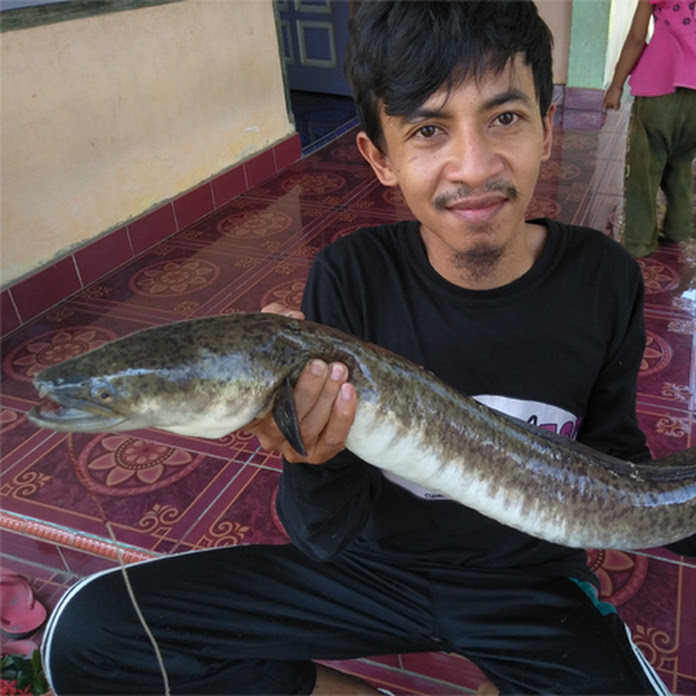 Supangkat TOP Net Worth & Earnings (2026)