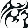 What could Morcego Project buy with $428.8 thousand?