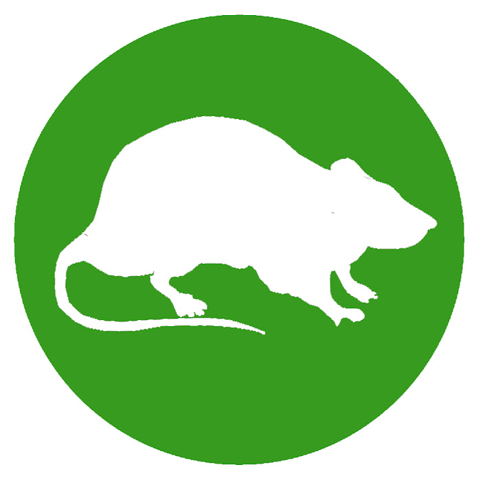 Top Mouse Trap Net Worth & Earnings (2026)