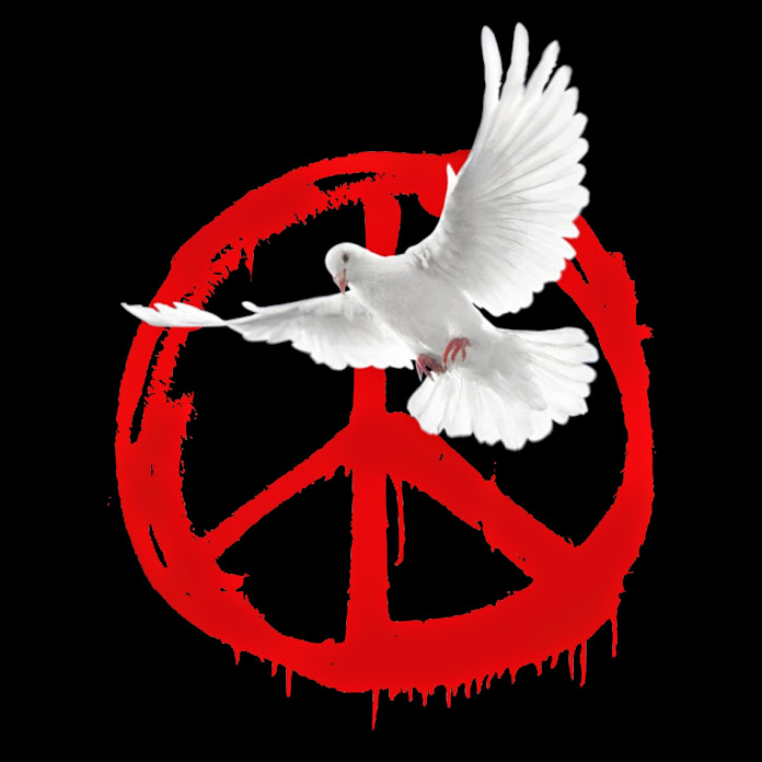 АНТИВОЙНА Net Worth & Earnings (2025)