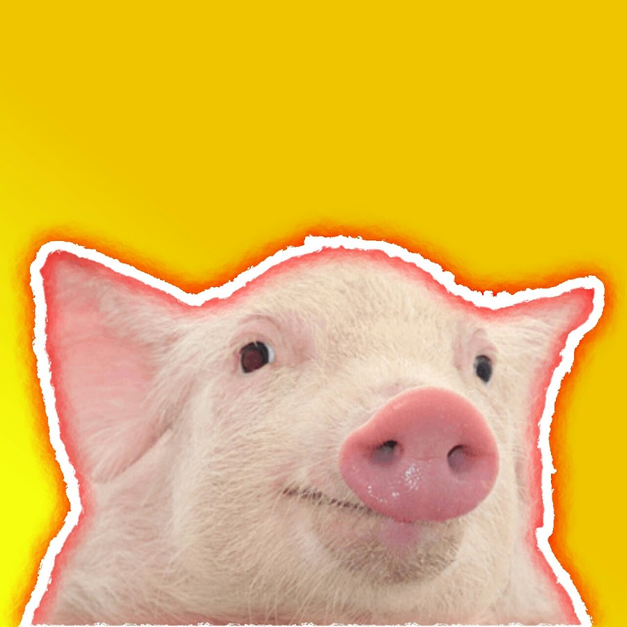 Spanish Pig YouTube