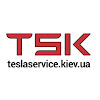 What could teslaservice. kiev buy with $190.8 thousand?
