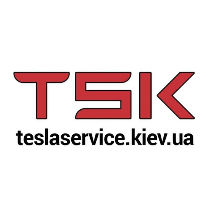 teslaservice. kiev Net Worth & Earnings (2026)