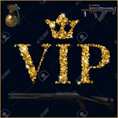 VIP TEAM avatar