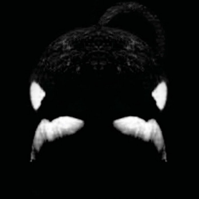 Blackfish Net Worth & Earnings (2026)