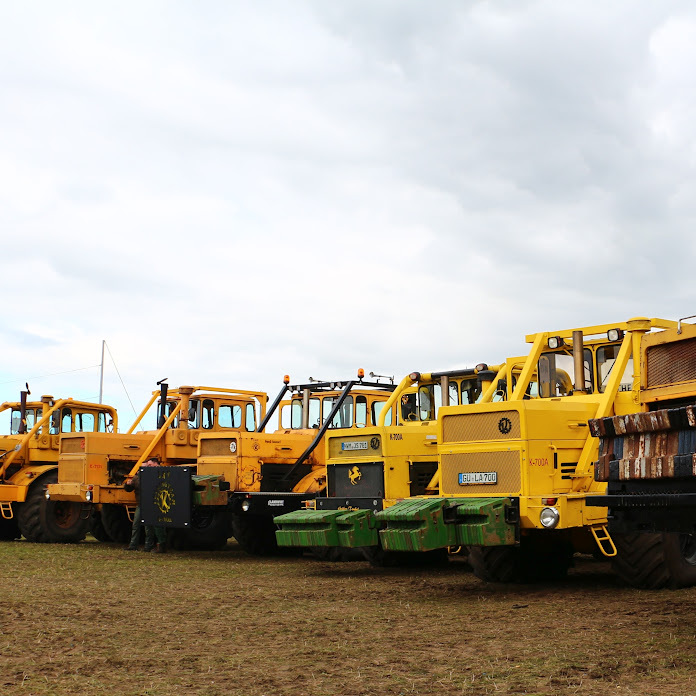 Blauer Panther Net Worth & Earnings (2026)