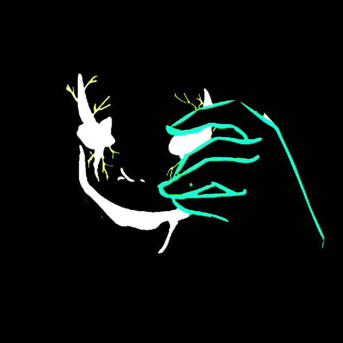 سيفا قيمز - Sif4 Games Net Worth & Earnings (2026)