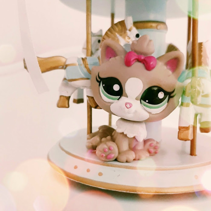 Minişler LPSEM miniş Net Worth & Earnings (2026)