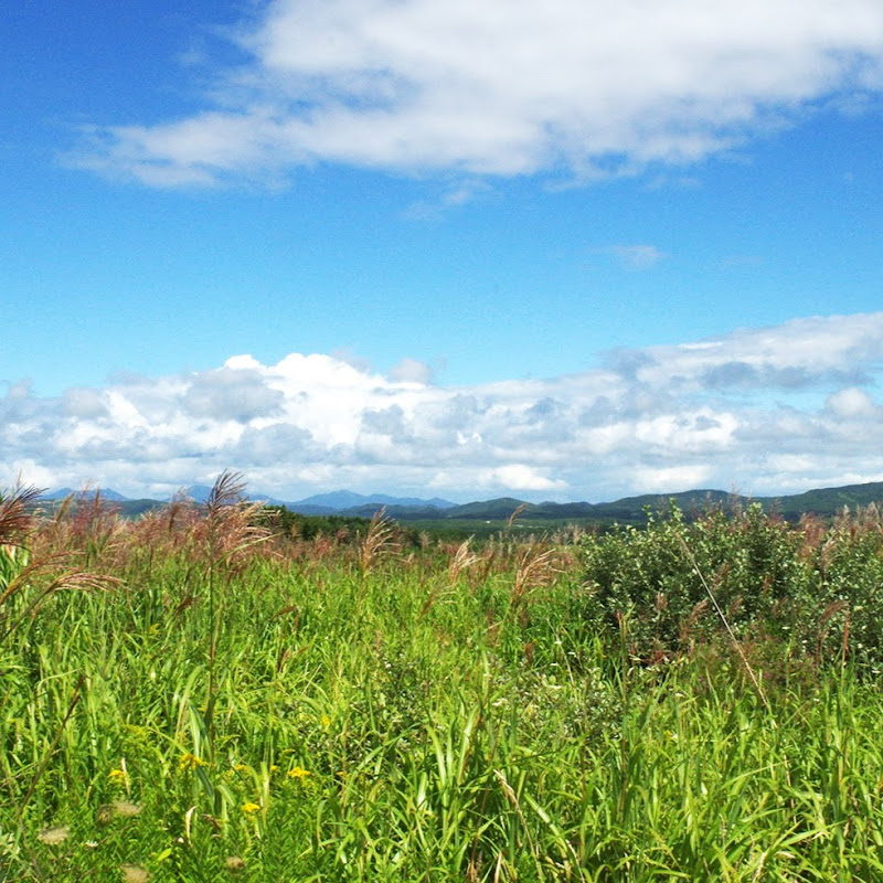 Legacy cs go. Нави выиграли турнир. Hard legion cs. Ec kyiv csgo. Игрок нави seized.