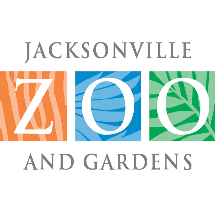 Jacksonville Zoo YouTube