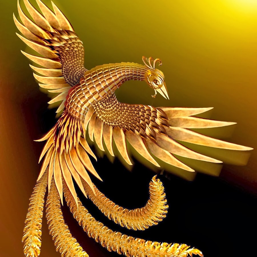 The Golden Phoenix YouTube