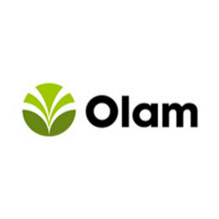 Resultado de imagen de icon olam