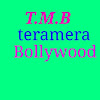 What could TERAMERA BOLLYWOOD buy with $1.68 million?