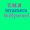 What could TERAMERA BOLLYWOOD buy with $1.7 million?