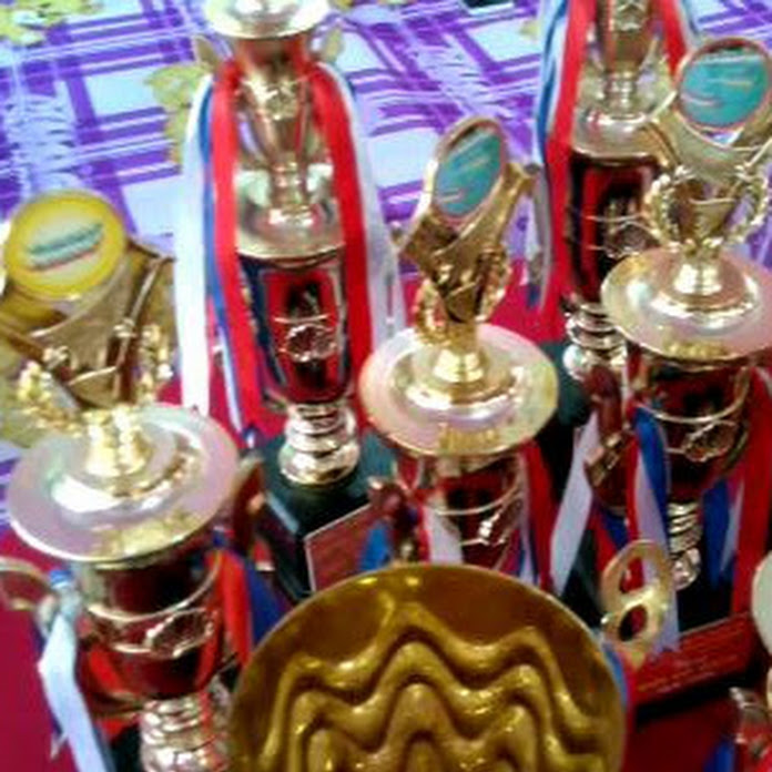 Nguyễn Anh Tùng Net Worth & Earnings (2026)