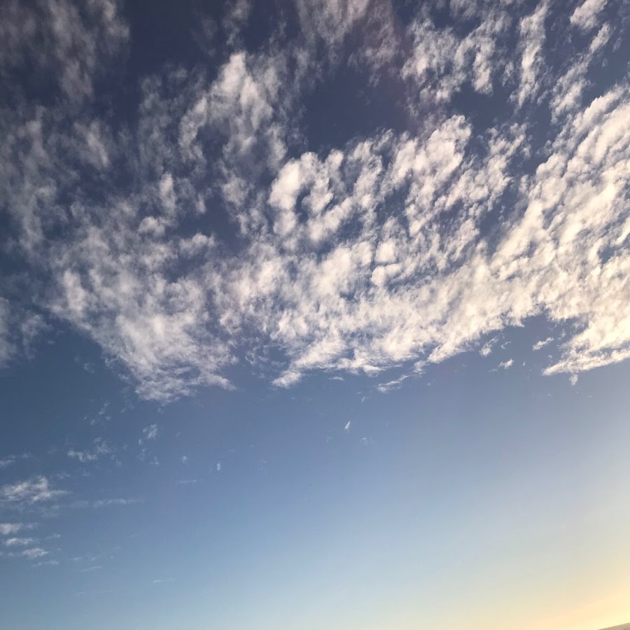 latin Paola lover martinez