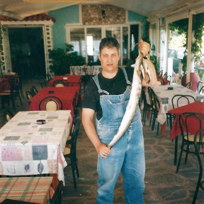 michael trifo Net Worth & Earnings (2026)