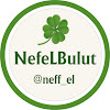 What could Neff_el Bulut buy with $100 thousand?