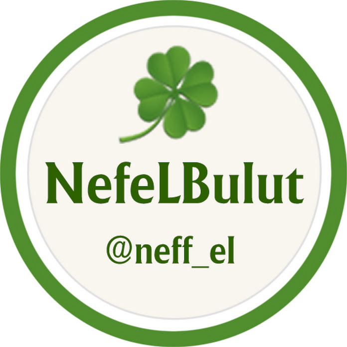Neff_el Bulut Net Worth & Earnings (2026)