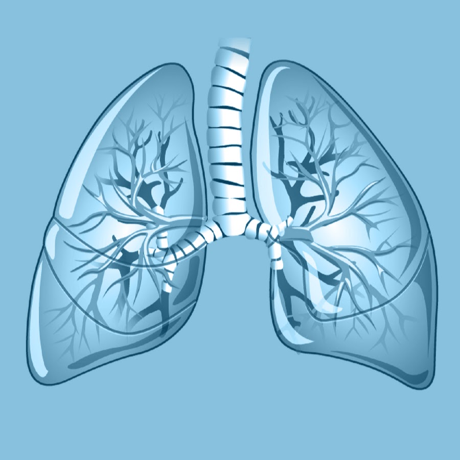 You and Lung Cancer YouTube