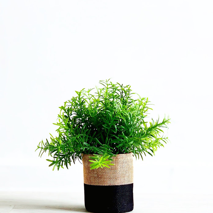 عالم سهام للتجميل Net Worth & Earnings (2026)