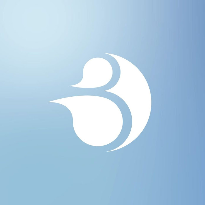 Betânia Igreja Batista Net Worth & Earnings (2026)