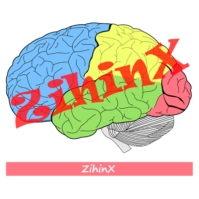 ZihinX Net Worth & Earnings (2022)