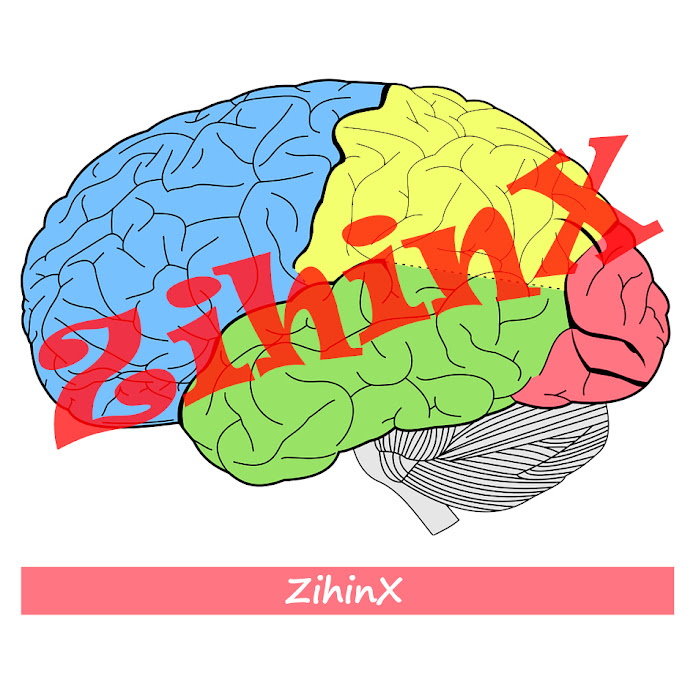 ZihinX Net Worth & Earnings (2026)