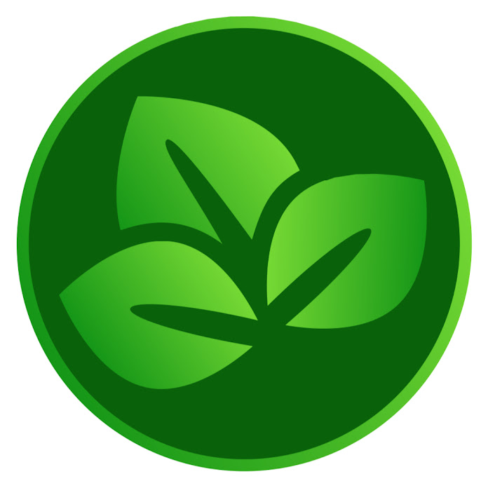 Fitoenergética Net Worth & Earnings (2026)