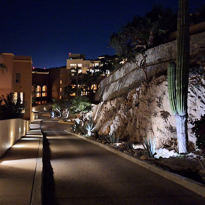 ウシオソuzioso Net Worth & Earnings (2026)