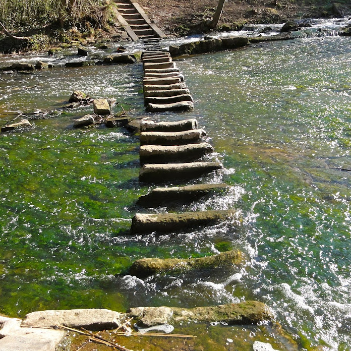 dieZuversicht Net Worth & Earnings (2026)