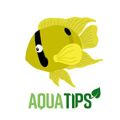 AquaTips