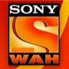 Image result for sony wah