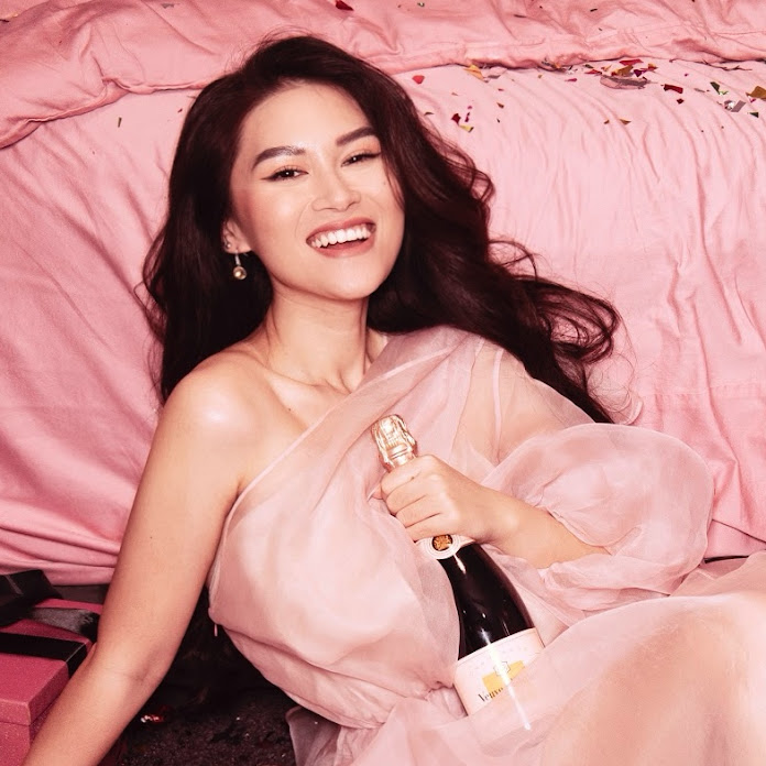 Ngọc Thanh Tâm Official Net Worth & Earnings (2025)