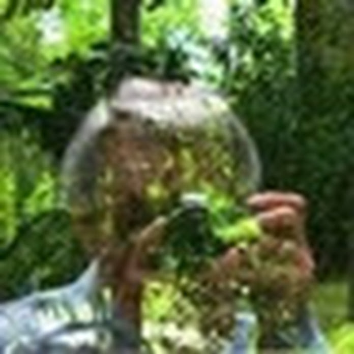 Ryszard K. Net Worth & Earnings (2026)