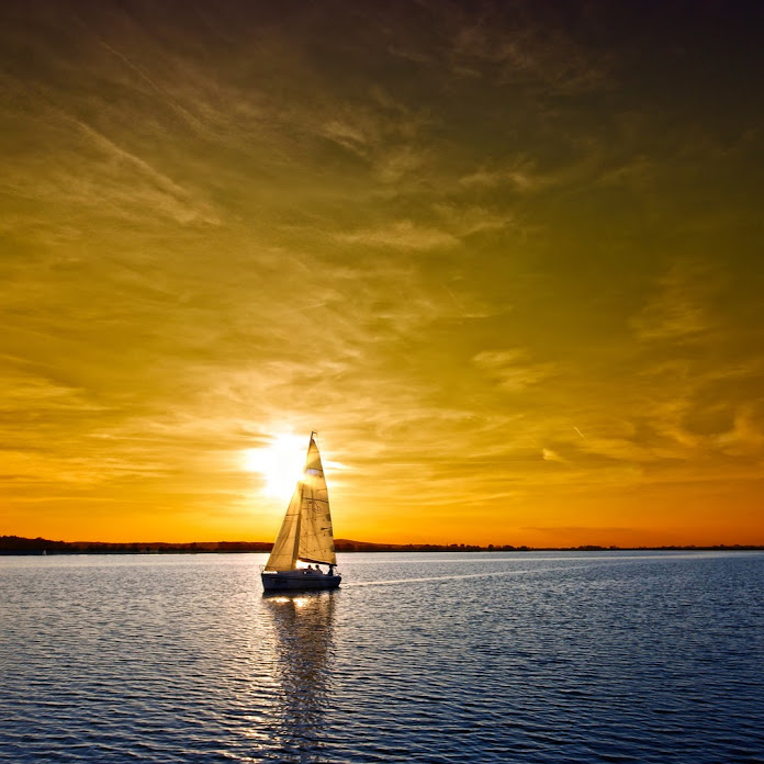 Manoel Sidney Net Worth & Earnings (2026)