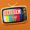 What could Hababam TV buy with $100 thousand?