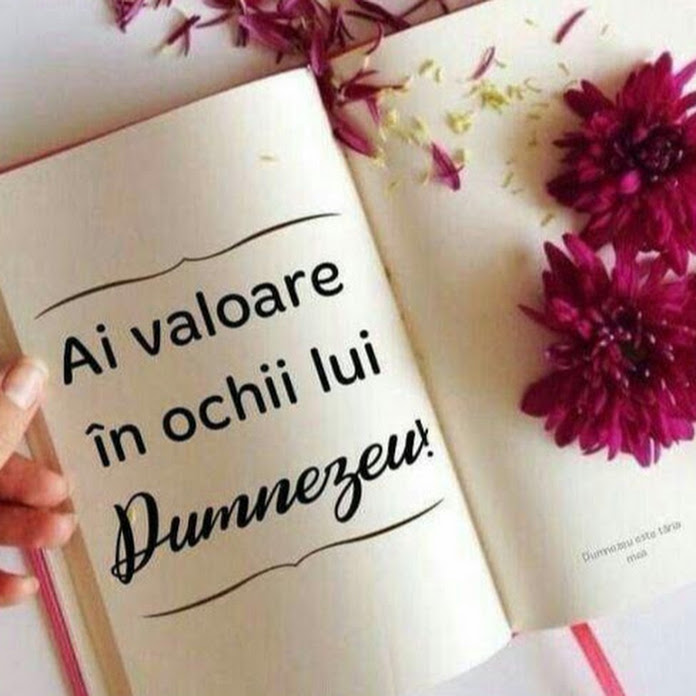 Mica mea bucatarie Net Worth & Earnings (2026)