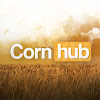 What could Cornhub buy with $216.89 thousand?
