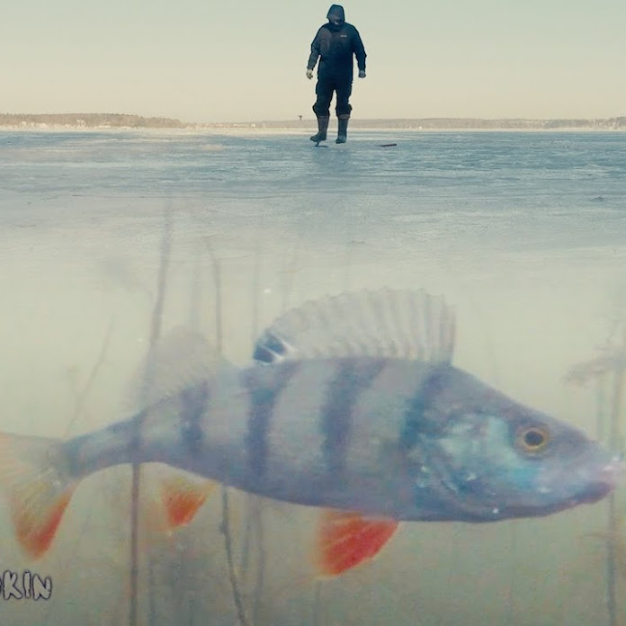 Sergei Sorokin Net Worth & Earnings (2026)