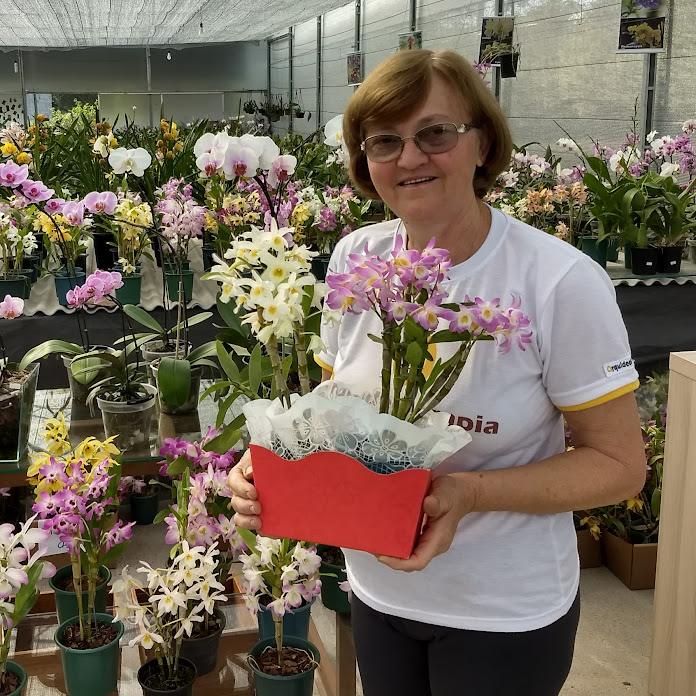 Terezinha Kunz Net Worth & Earnings (2026)