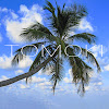 TOMOKI Nature Sounds & Landscapes YouTube